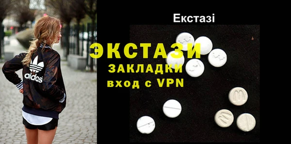 крисы Богородицк