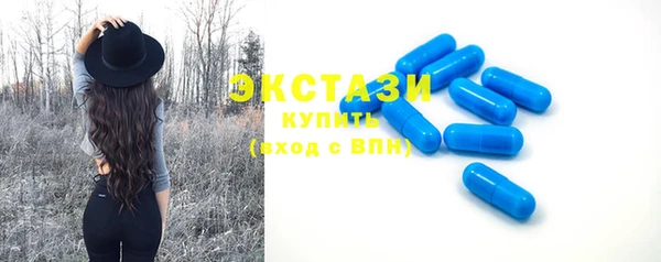 крисы Богородицк