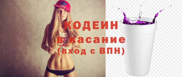 крисы Богородицк