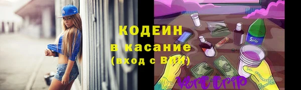 крисы Богородицк