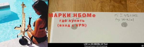 крисы Богородицк