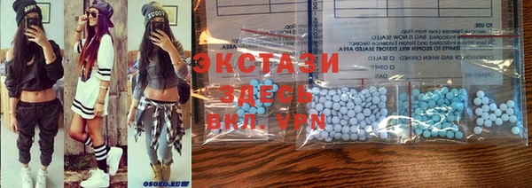 крисы Богородицк