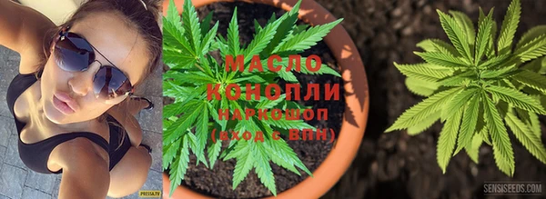 крисы Богородицк