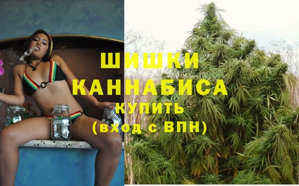 крисы Богородицк