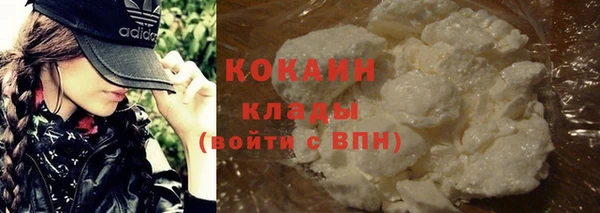 крисы Богородицк