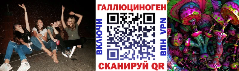 Псилоцибиновые грибы MAGIC MUSHROOMS  цены наркотик  Мичуринск 